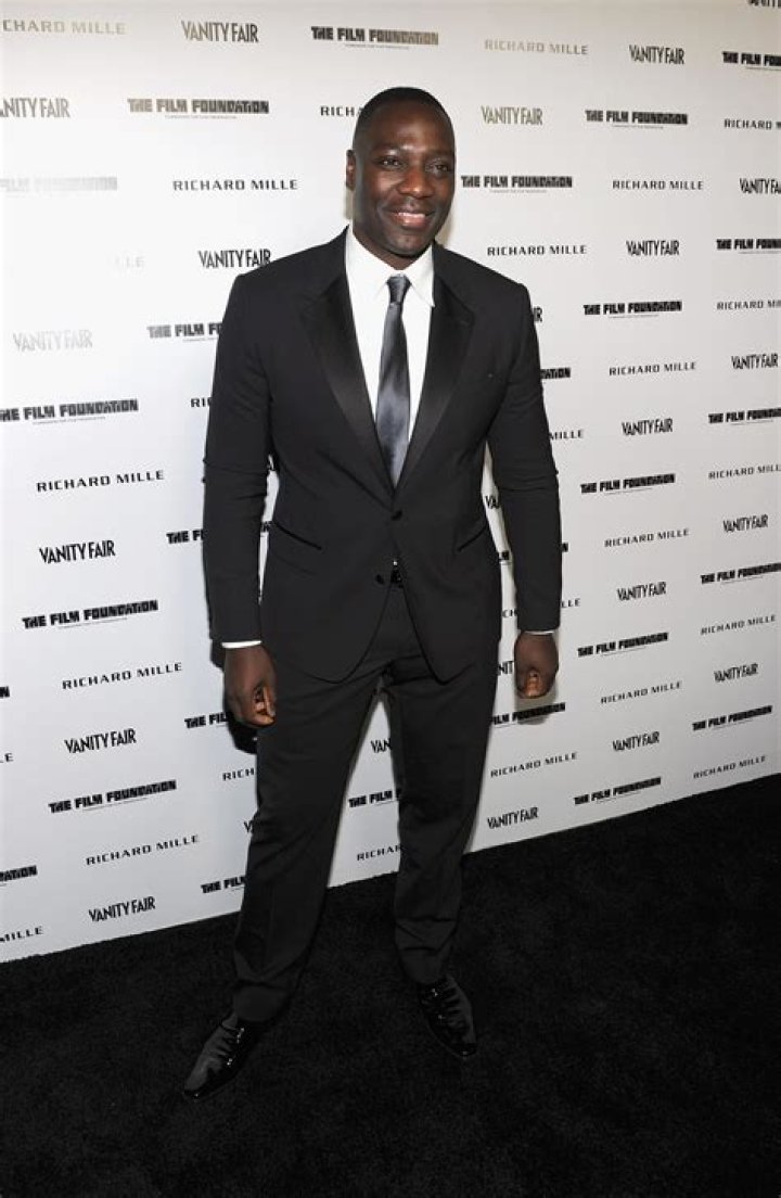 Adewale Ogunleye Net Worth | Celebrity Net Worth