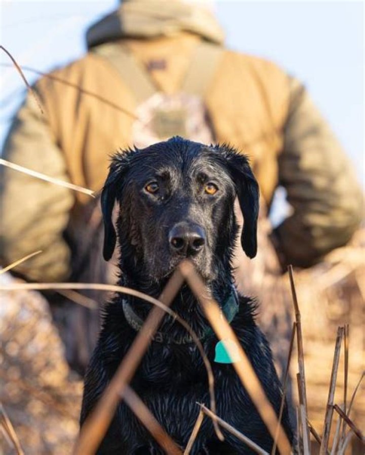 A&E Banks on a New Brand of Redneck with "Country Buck$"