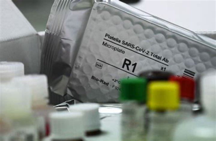 Alice Schwartz Net Worth | Celebrity Net Worth