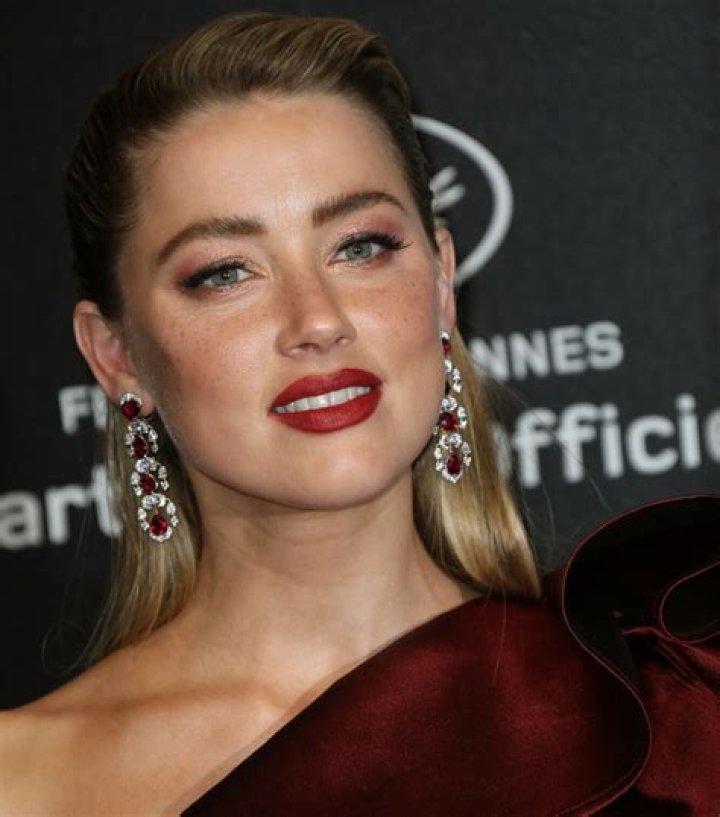 Amber Heard Net Worth | Celebrity Net Worth