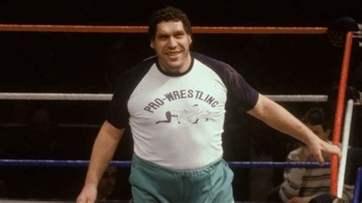 Andre the Giant Net Worth