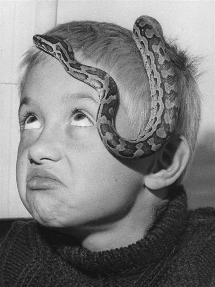 Barry Miller Net Worth | Celebrity Net Worth