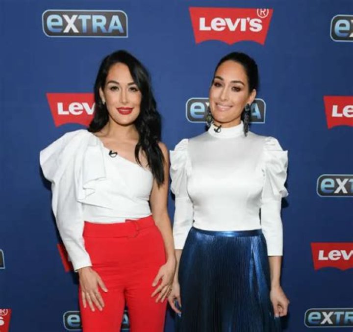 Bella Twins Net Worth | Celebrity Net Worth