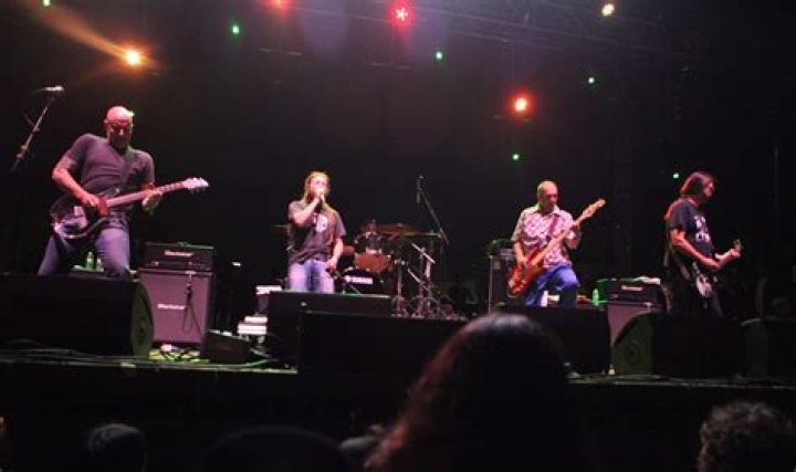 Bill Stevenson Net Worth | Celebrity Net Worth