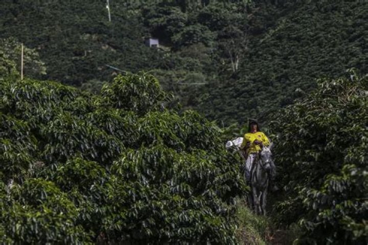 Cascada Net Worth | Celebrity Net Worth