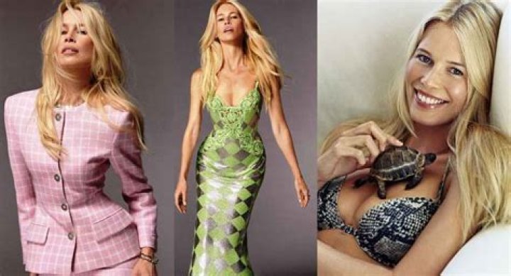 Claudia Schiffer Net Worth | Celebrity Net Worth