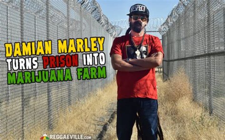 Damian Marley Is Converting A Former Prison Into A Marijuana Grow Space