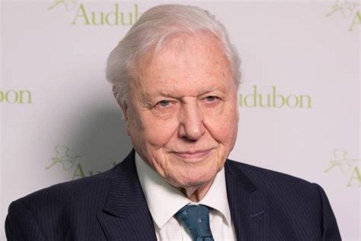 David Attenborough Net Worth | Celebrity Net Worth