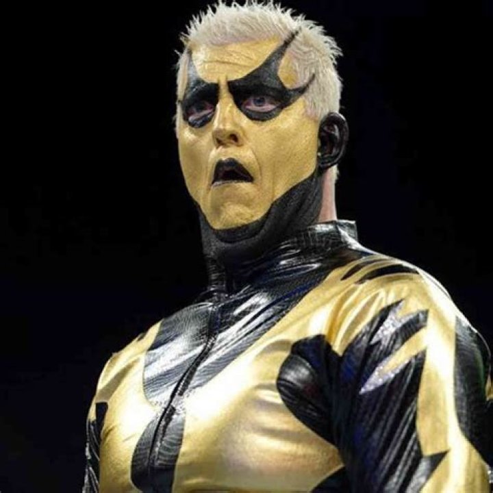 Goldust Net Worth | Celebrity Net Worth