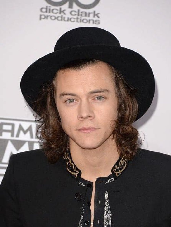 Harry Styles Net Worth | Celebrity Net Worth