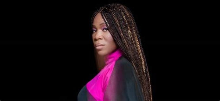 India Arie Net Worth | Celebrity Net Worth