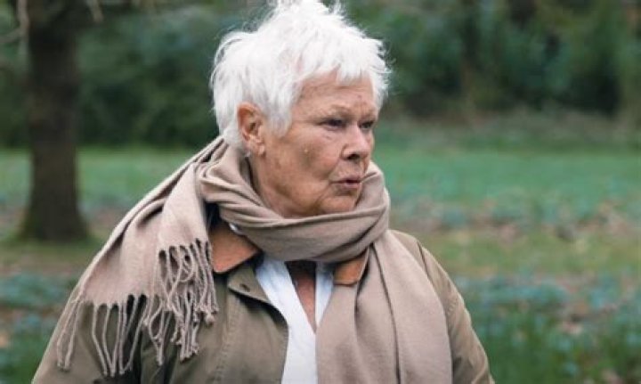Judi Dench Net Worth | Celebrity Net Worth