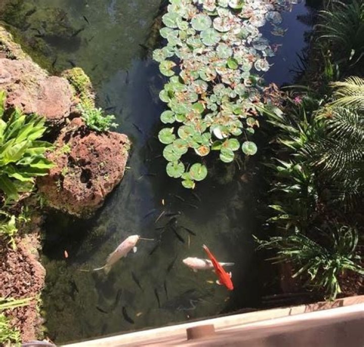 Man Fishes His Way To Billion-Dollar Net Worth