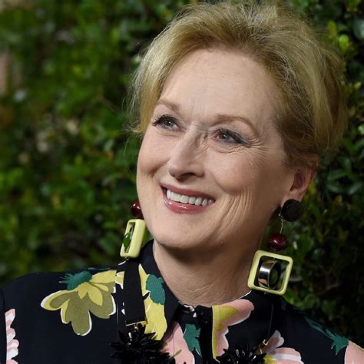 Meryl Streep and Don Gummer Net Worth