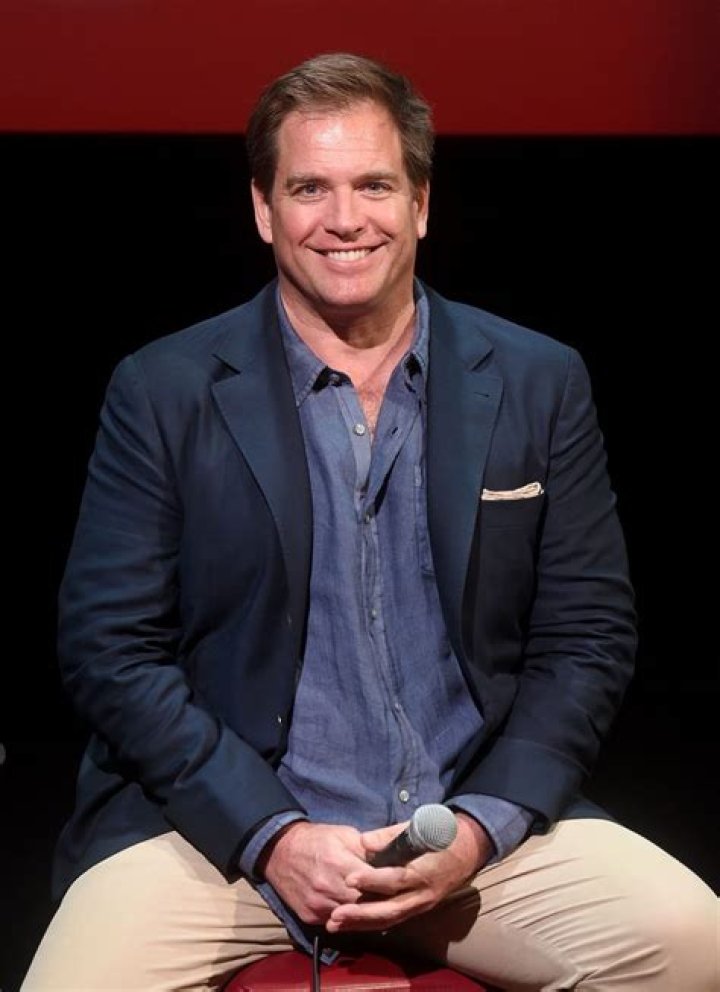 Michael Weatherly Net Worth | Celebrity Net Worth
