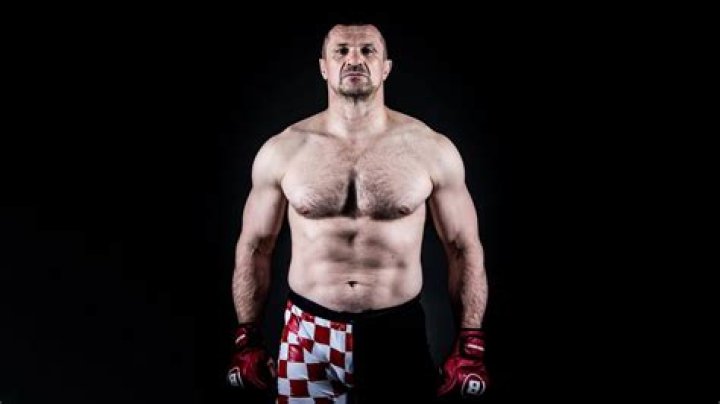 Mirko Cro Cop Net Worth