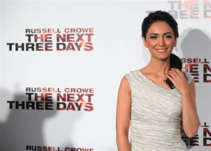 Nazanin Boniadi Net Worth | Celebrity Net Worth