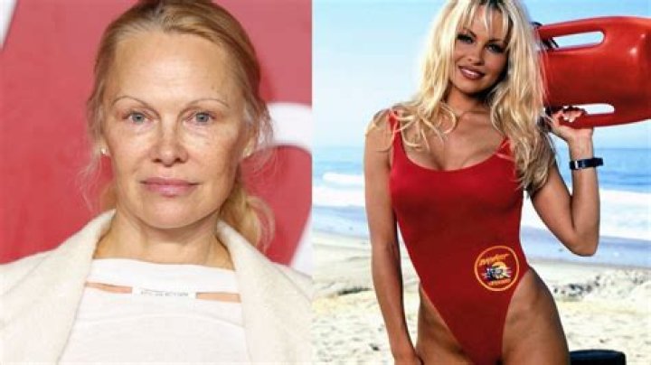 Pamela Anderson Net Worth | Celebrity Net Worth