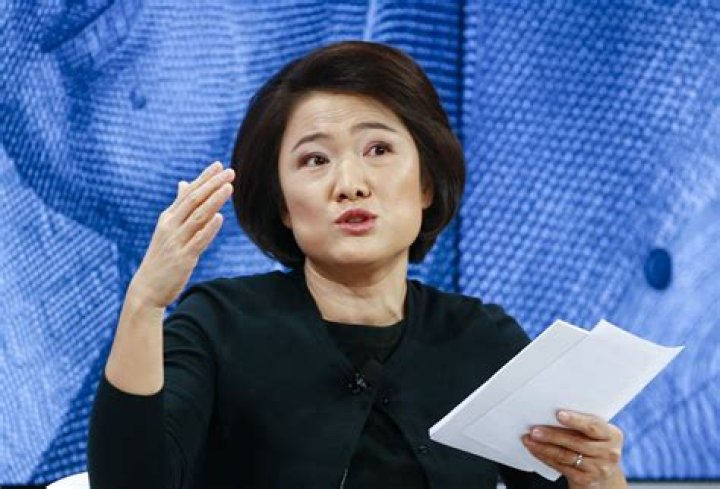 Pan Shiyi Net Worth | Celebrity Net Worth