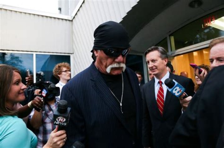 Billionaire Investor Peter Thiel Admits to Funding Hulk Hogan's Suit Against Gawker