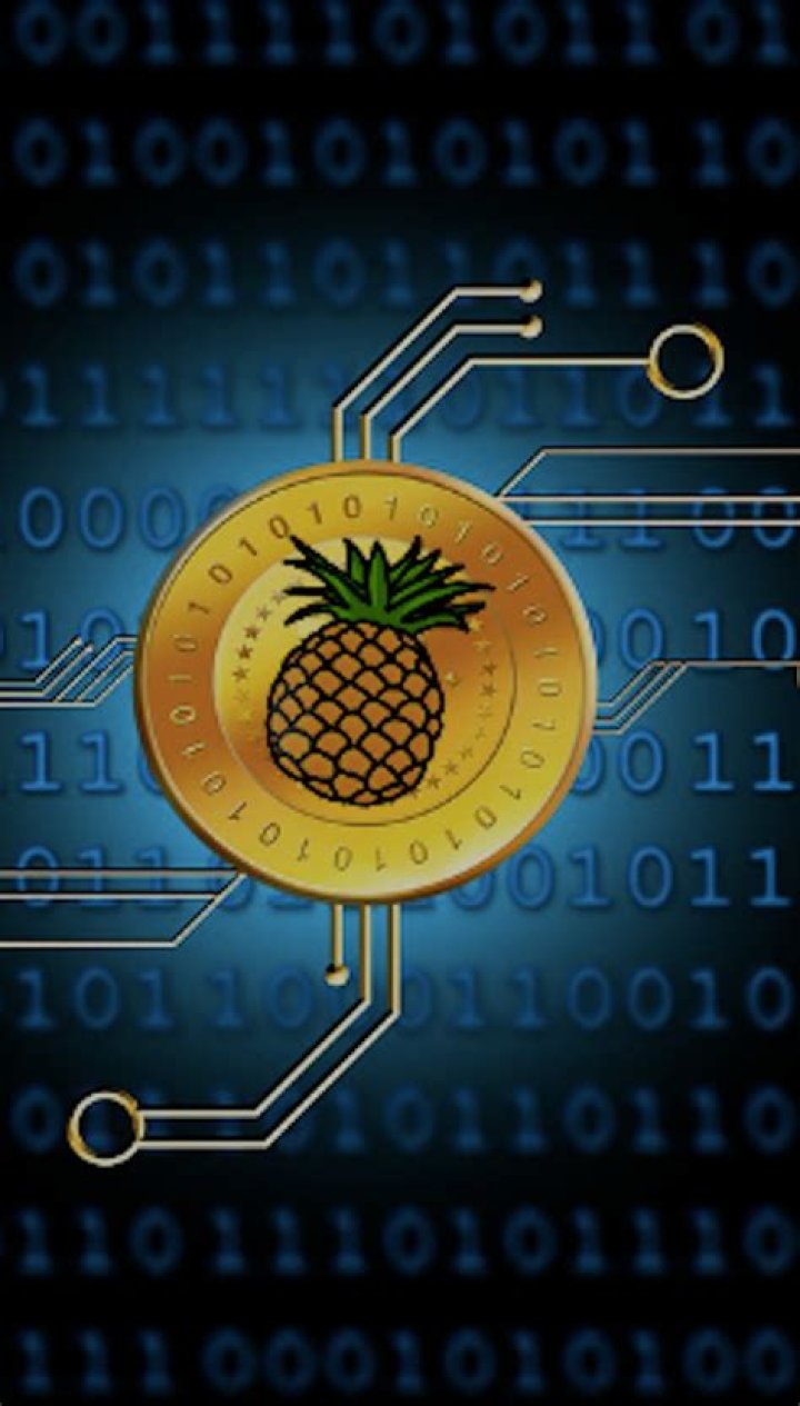 The Pineapple Fund: The Anonymous Wealthy Bitcoin Millionaire Who's Pledged To Give Away Millions