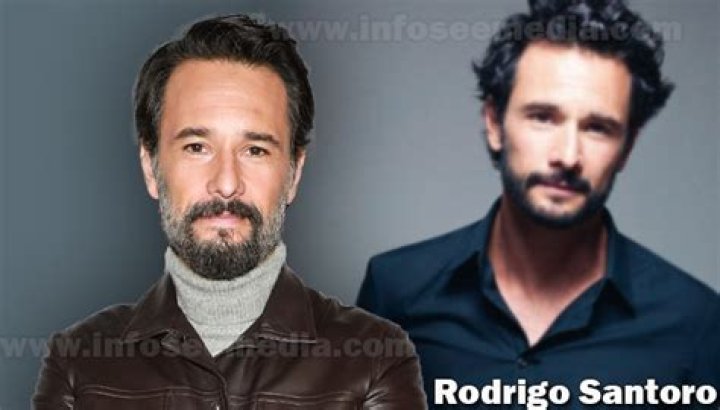 Rodrigo Santoro Net Worth | Celebrity Net Worth