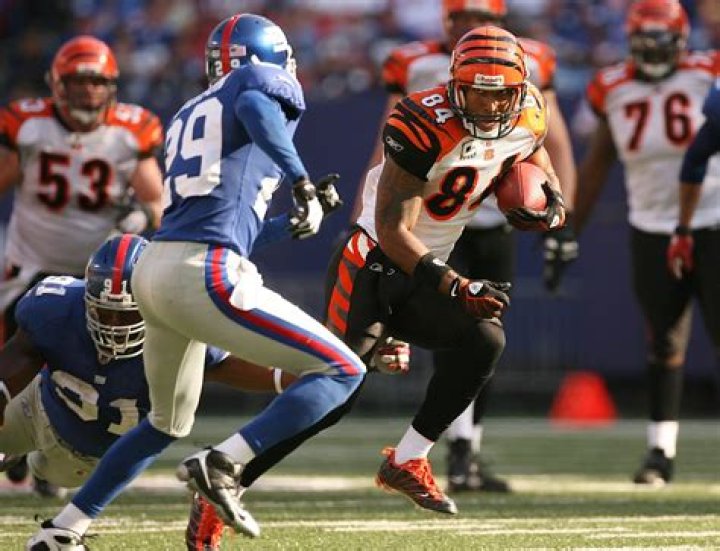 Sam Madison Net Worth | Celebrity Net Worth