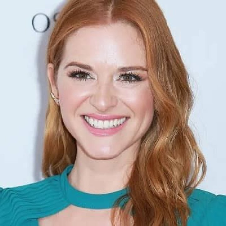 Sarah Drew Net Worth | Celebrity Net Worth