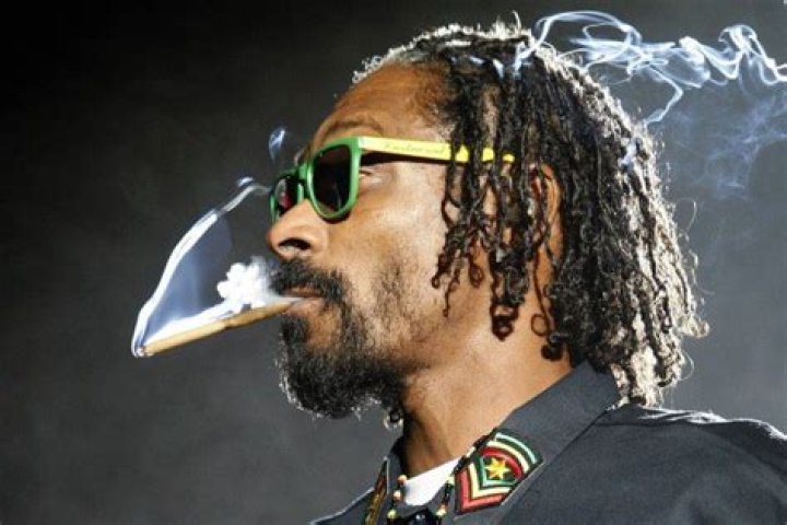 Snoop Dogg Just Launched A New Website That Aims To Be The Encyclopedia Of Weed