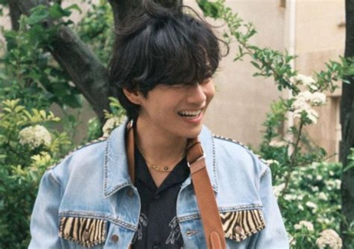 V Net Worth | Celebrity Net Worth