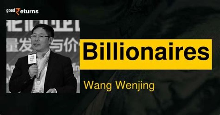 Wang Wenjing Net Worth | Celebrity Net Worth