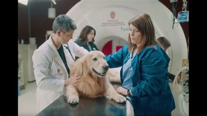 WeatherTech Founder So Grateful To Vet Clinic That Saved His Dog's Life, He Took Out $6 Million Super Bowl Ad To Thank Them  