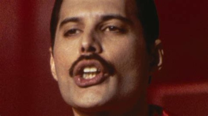 What Was Freddie Mercury's Net Worth At The Time Of His Death?
